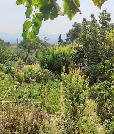 Engin Holiday home *